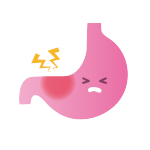 胃の画像